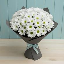 Букет цветов из:  Хризантемы #REPLACE_PRED# Торгашино