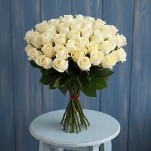 Букет 51 Белая роза Эдлесс Лав #REPLACE_PRED# Торгашино