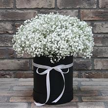 Цветочная композиция из Гипсофила в шляпной коробке в Торгашино