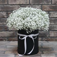 Цветочная композиция из Гипсофила в шляпной коробке в Торгашино