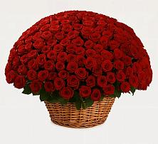 Премиум букет из: Розы в Торгашино